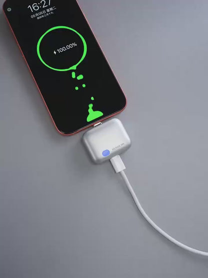 PowerGuard Mini 140W — Auto Charge Cut-Off Device